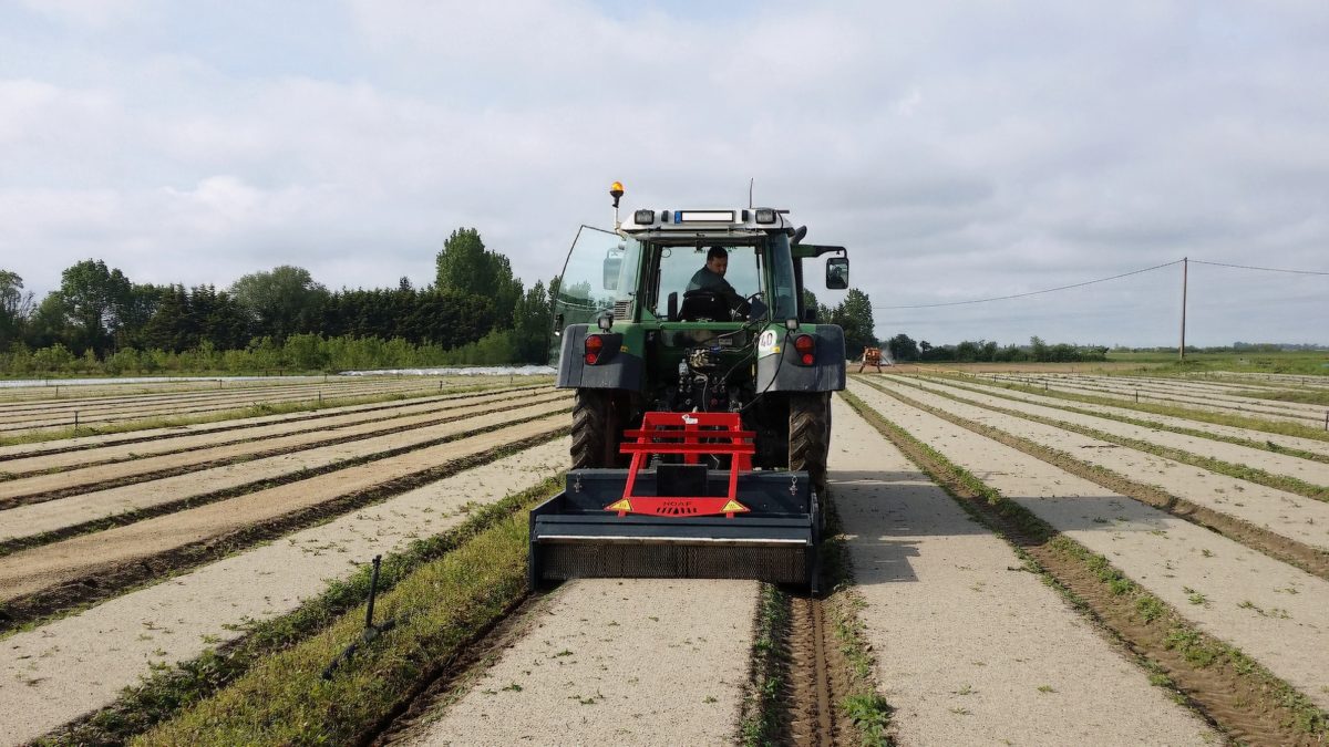 CHEVALET DE SCIAGE DE MASSE - MMEnvironnement