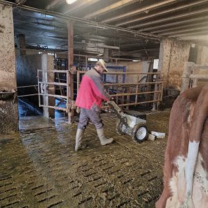 nettoyage des étables