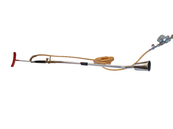 TH15 – Image 2
