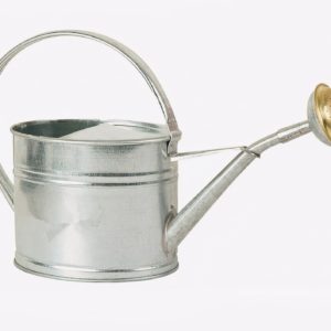 ARROSOIR 6L GALVANISE