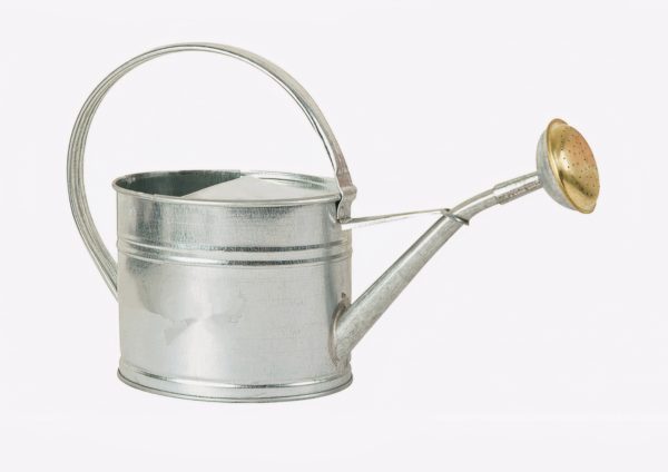 ARROSOIR 6L GALVANISE