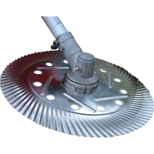 LD1 – Image 2