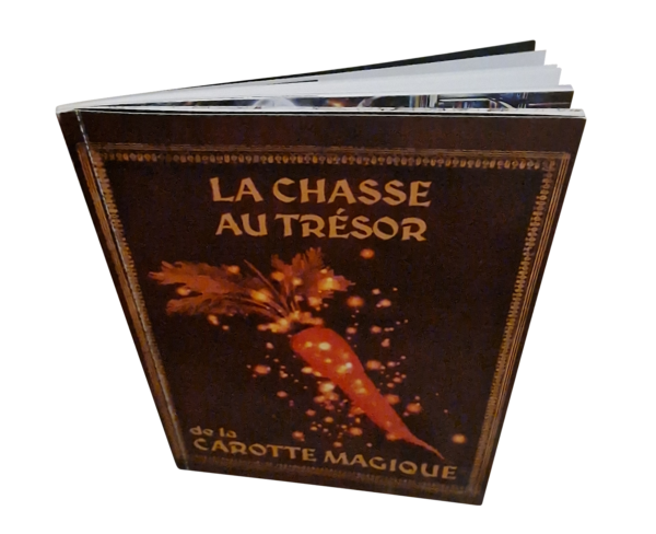 Le livre de la chasse au trésor