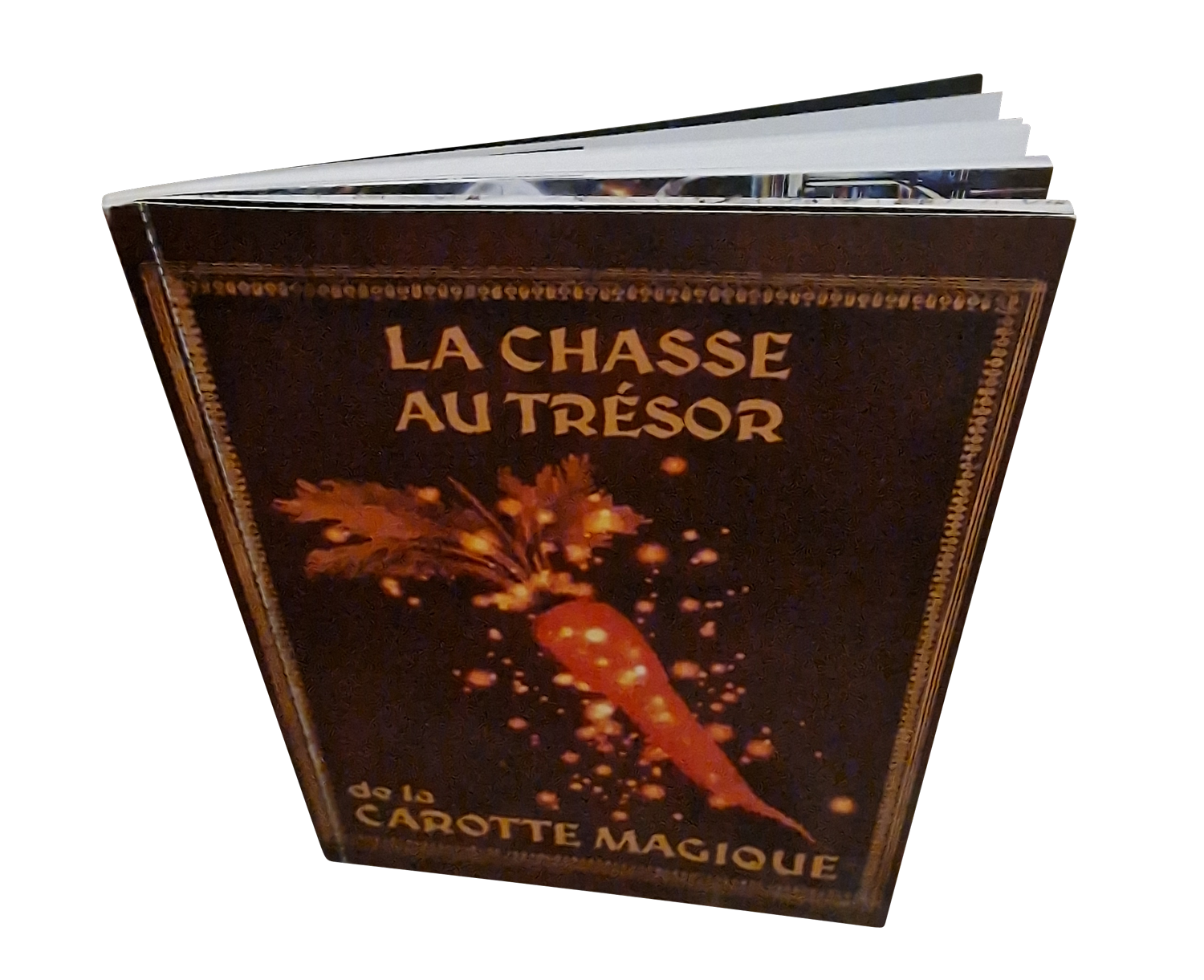 Livre de la chasse au trésor de la Carotte Magique© - MMEnvironnement