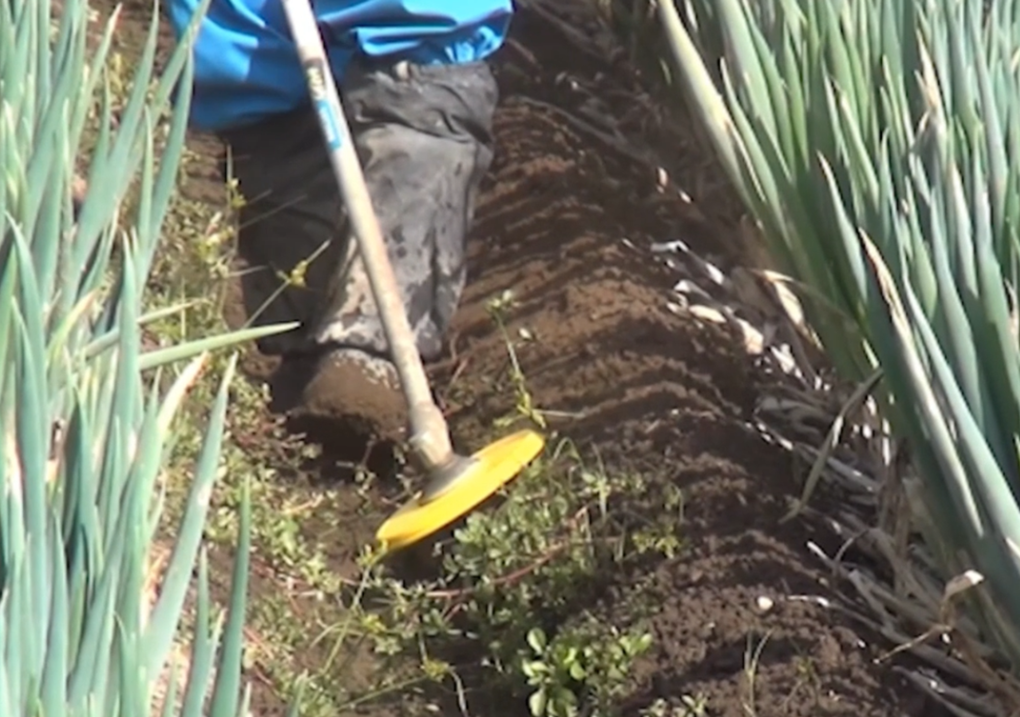 CHEVALET DE SCIAGE DE MASSE - MMEnvironnement