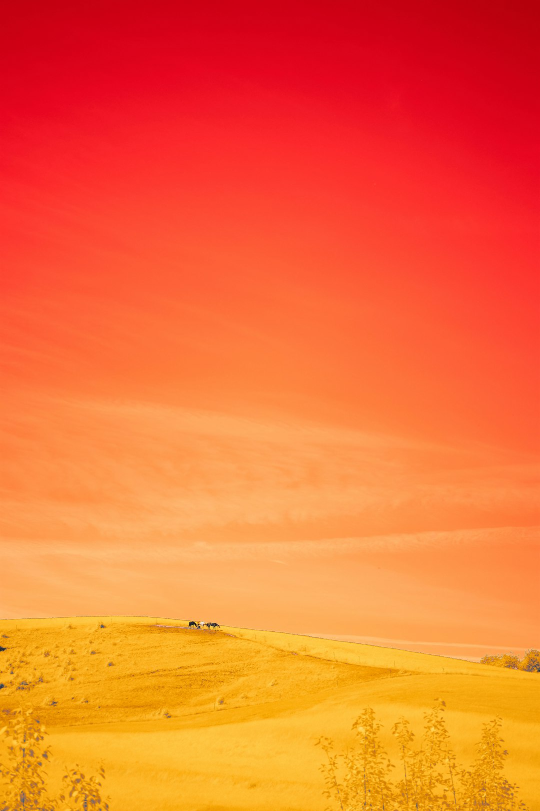Un tracteur moderne et propre de couleur rouge est à l