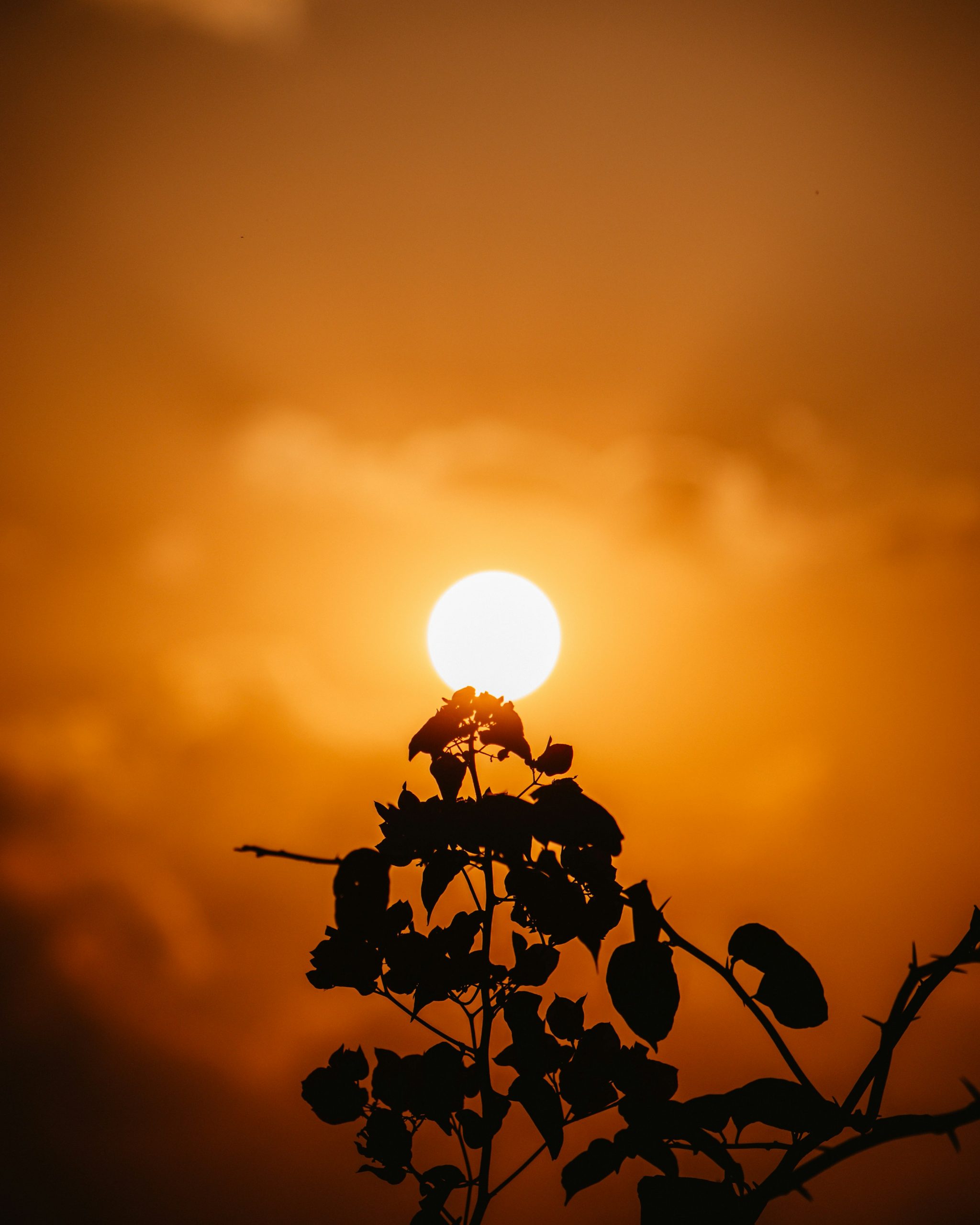 Une vue panoramique d