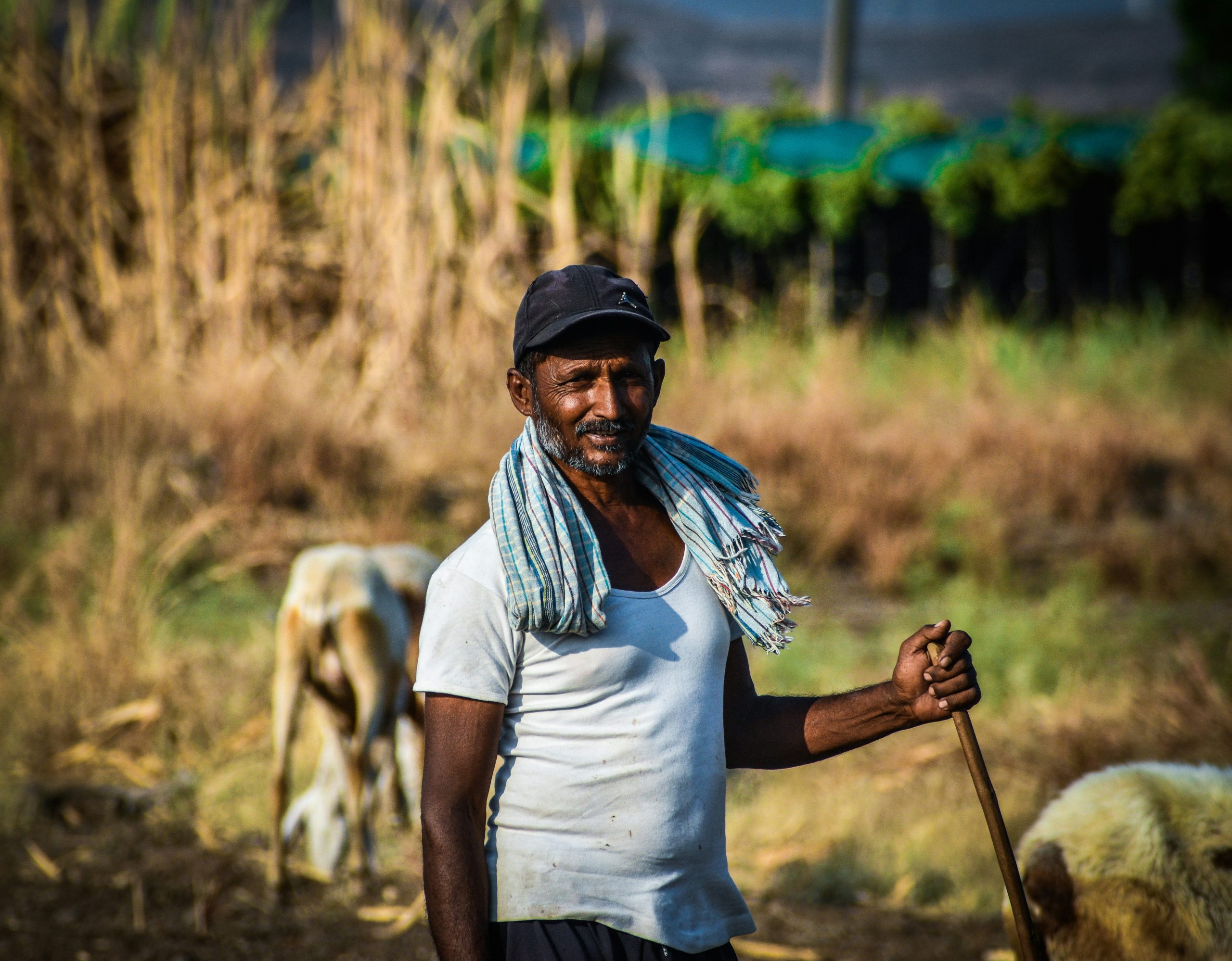 Happy farmer shaking hands with an agricultural equipment dealer in a field