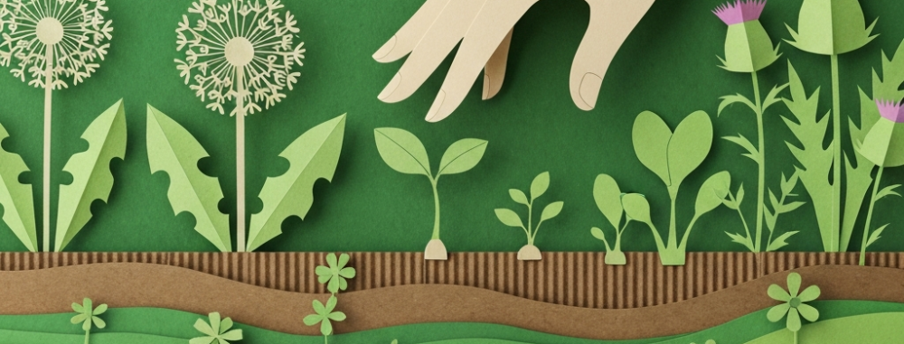 Image papier craft d'une main écrasant une pousse dans un jardin, illustrant les erreurs de désherbage alternatif.