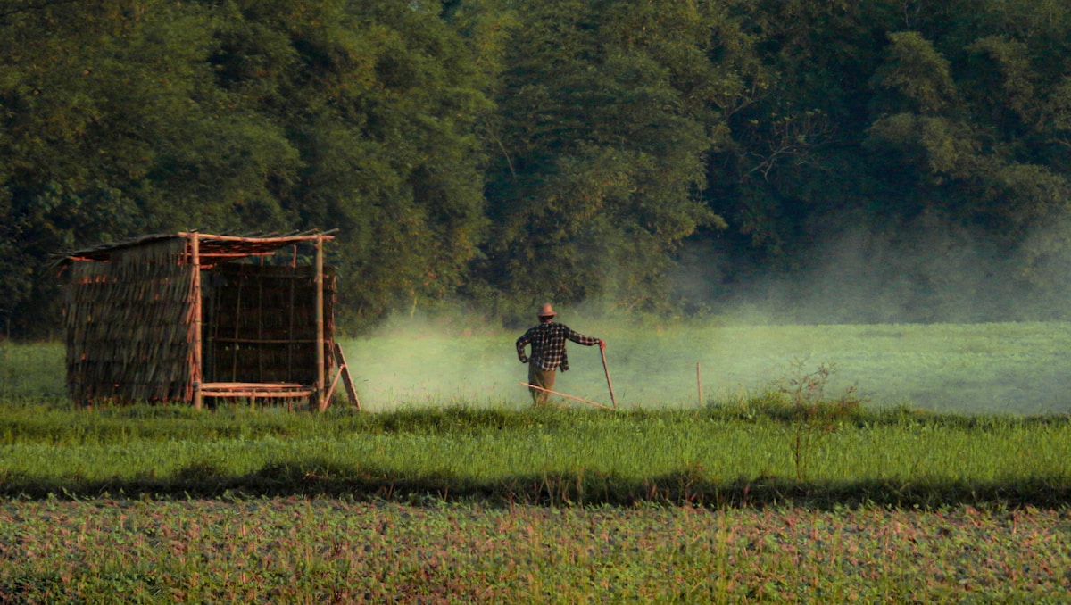 a man walking across a lush green field
