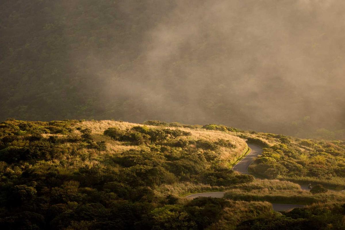 Winding road through grassy hills, misty background.