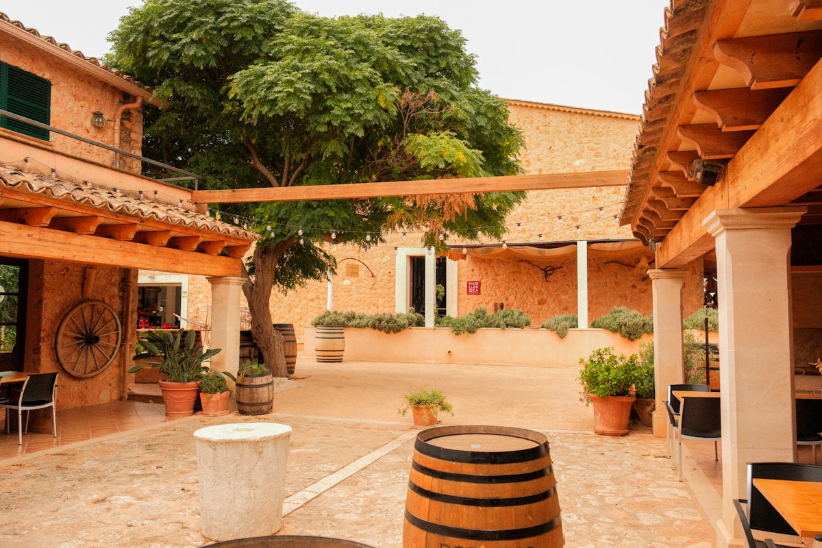 Courtyard of a rustic building with a large tree.