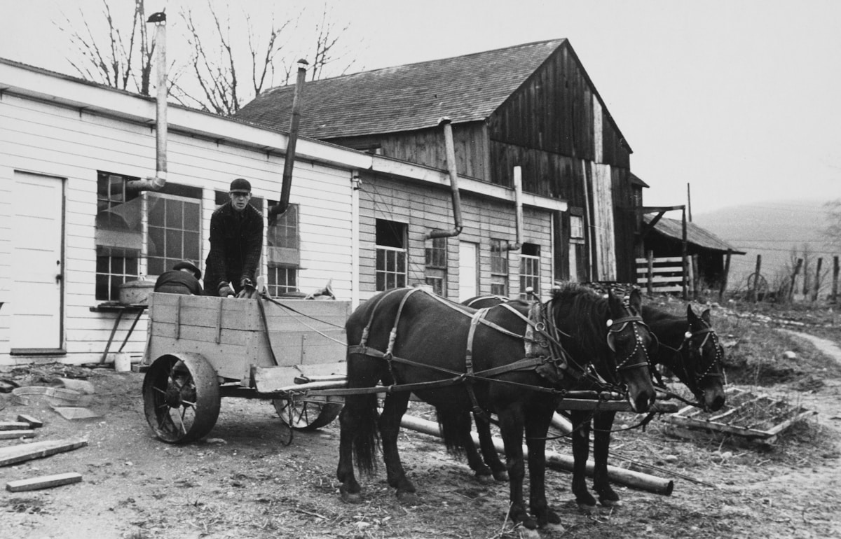 Man with horses and cart near barn