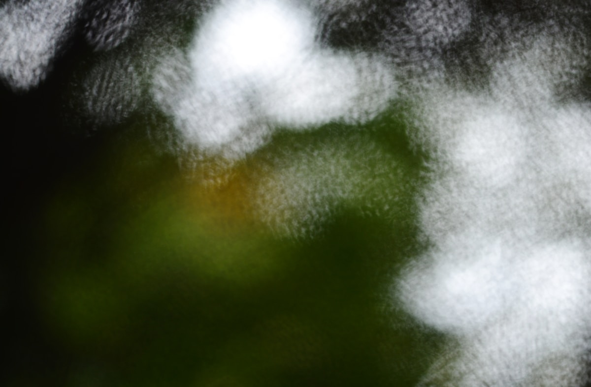 Abstract bokeh lights and dark green background