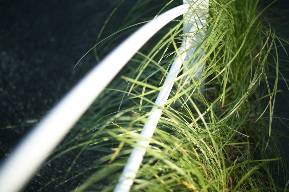green grass on black surface