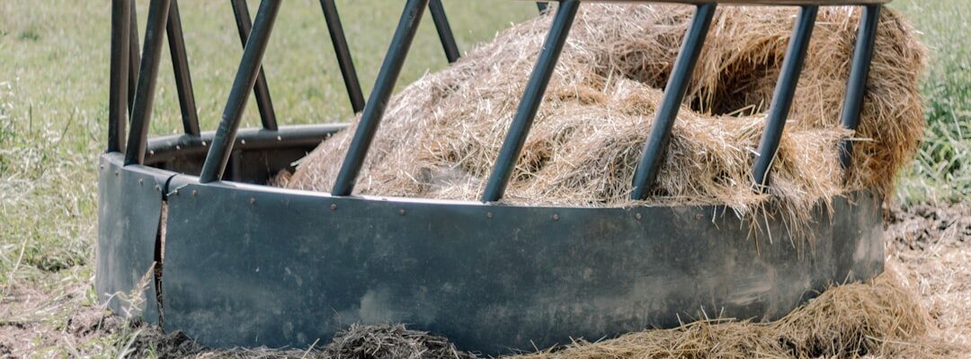 "Bale de foin au milieu d'un champ pour un élevage, trouver un distributeur fourrage adapté à mon élevage facilement."