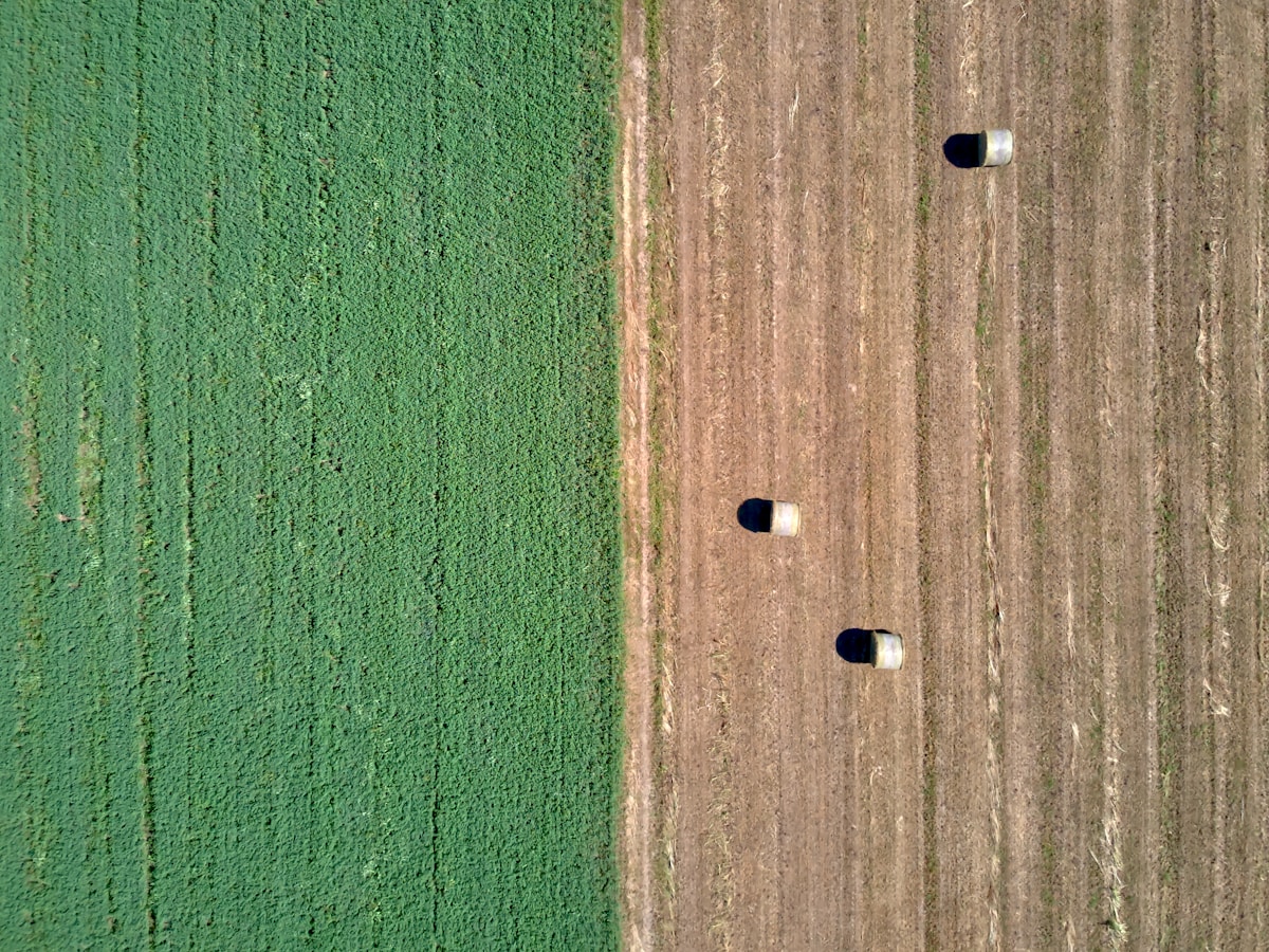 Un ornement rond blanc sur une surface en bois brun.
