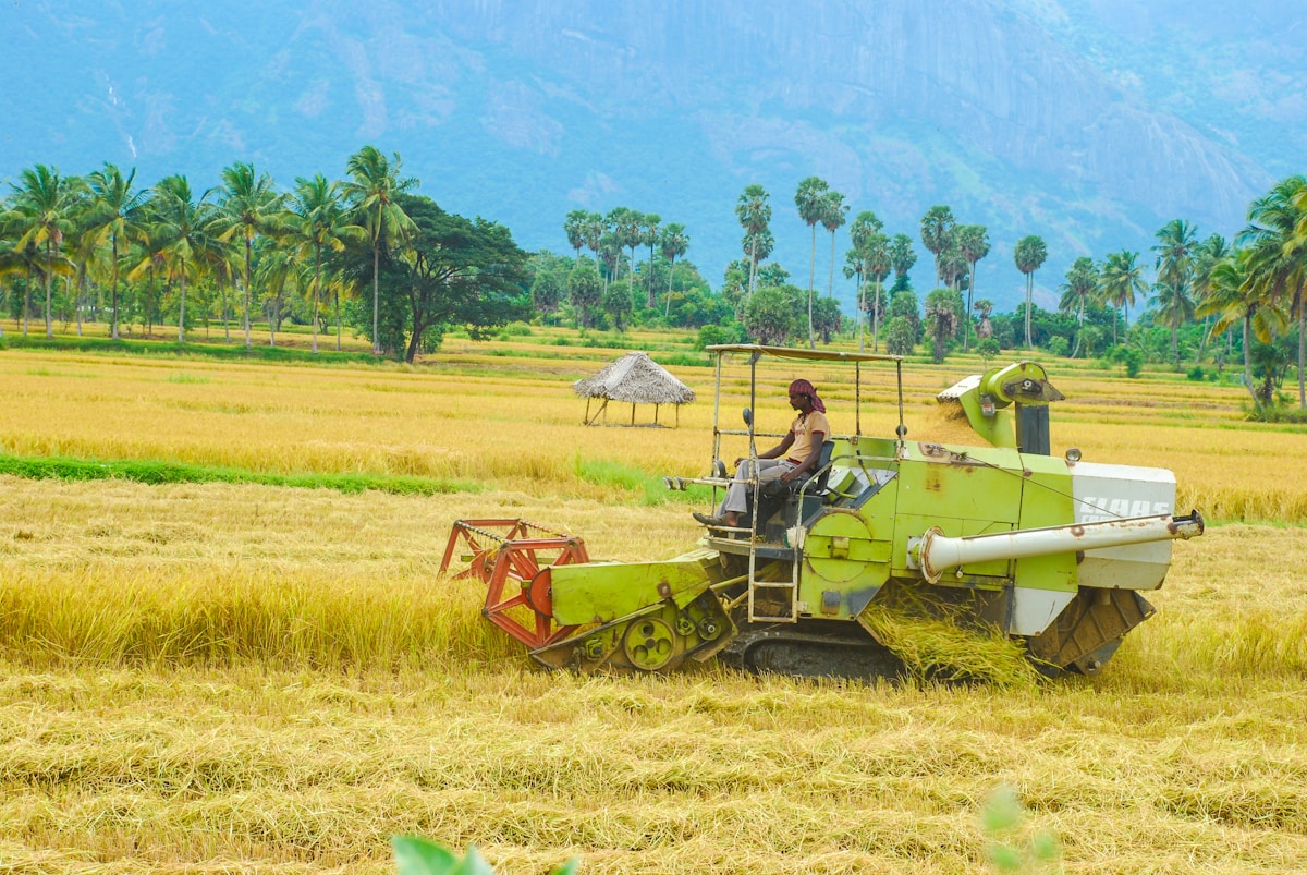 man riding harvester loading hay during daytime