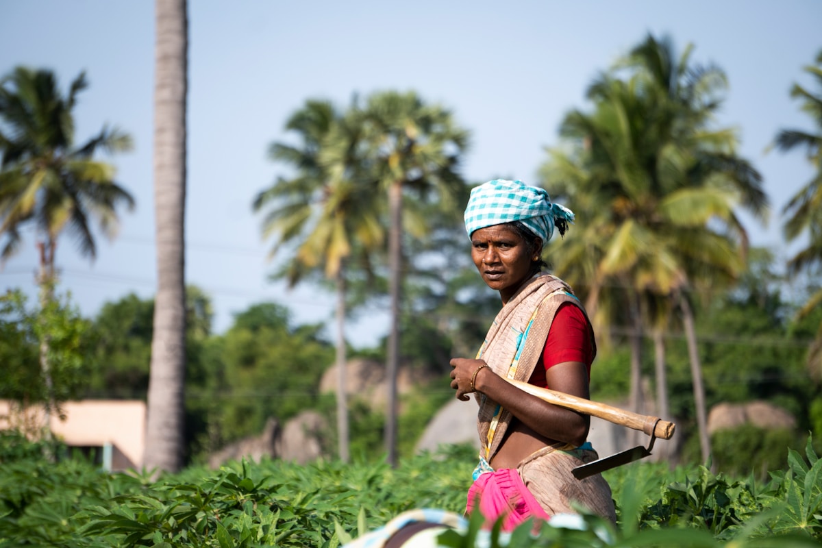 Homme local travaillant dans un champ tropical avec des palmiers.