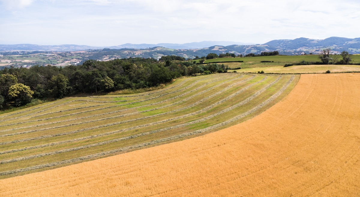 An aerial view of a large field with trees in the background