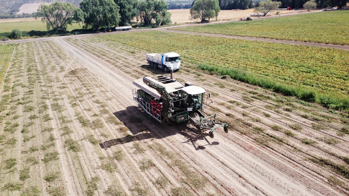 Champ agricole avec tracteur et camion, paysage rural verdoyant.