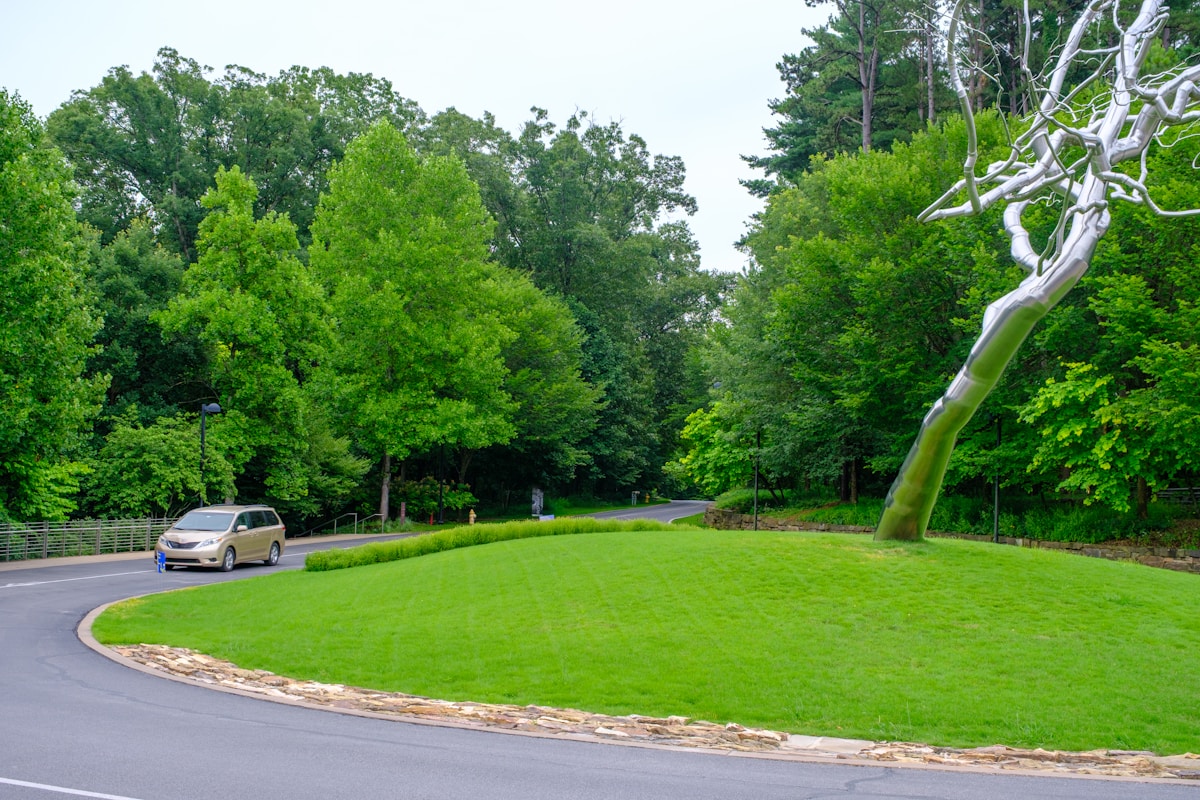 Paysage verdoyant avec pelouse, arbres et route dans un parc.