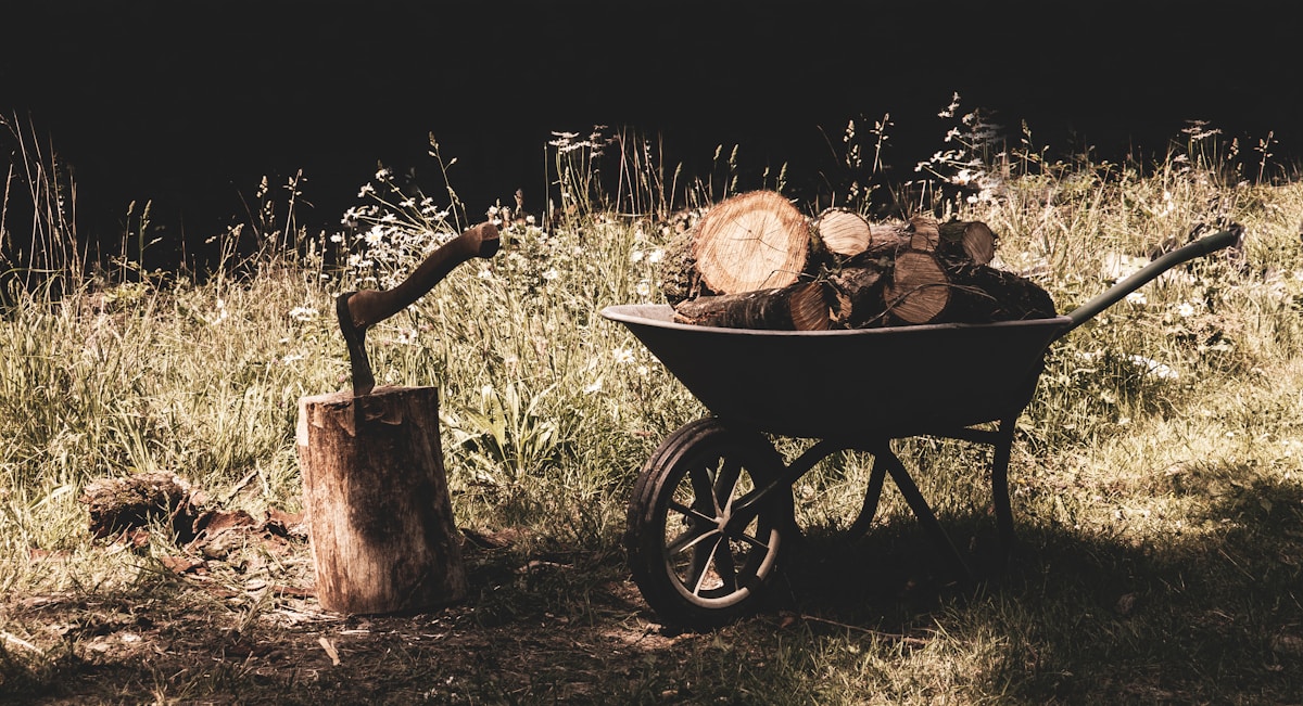 Chariot de bois rempli de bûches dans un champ herbeux.