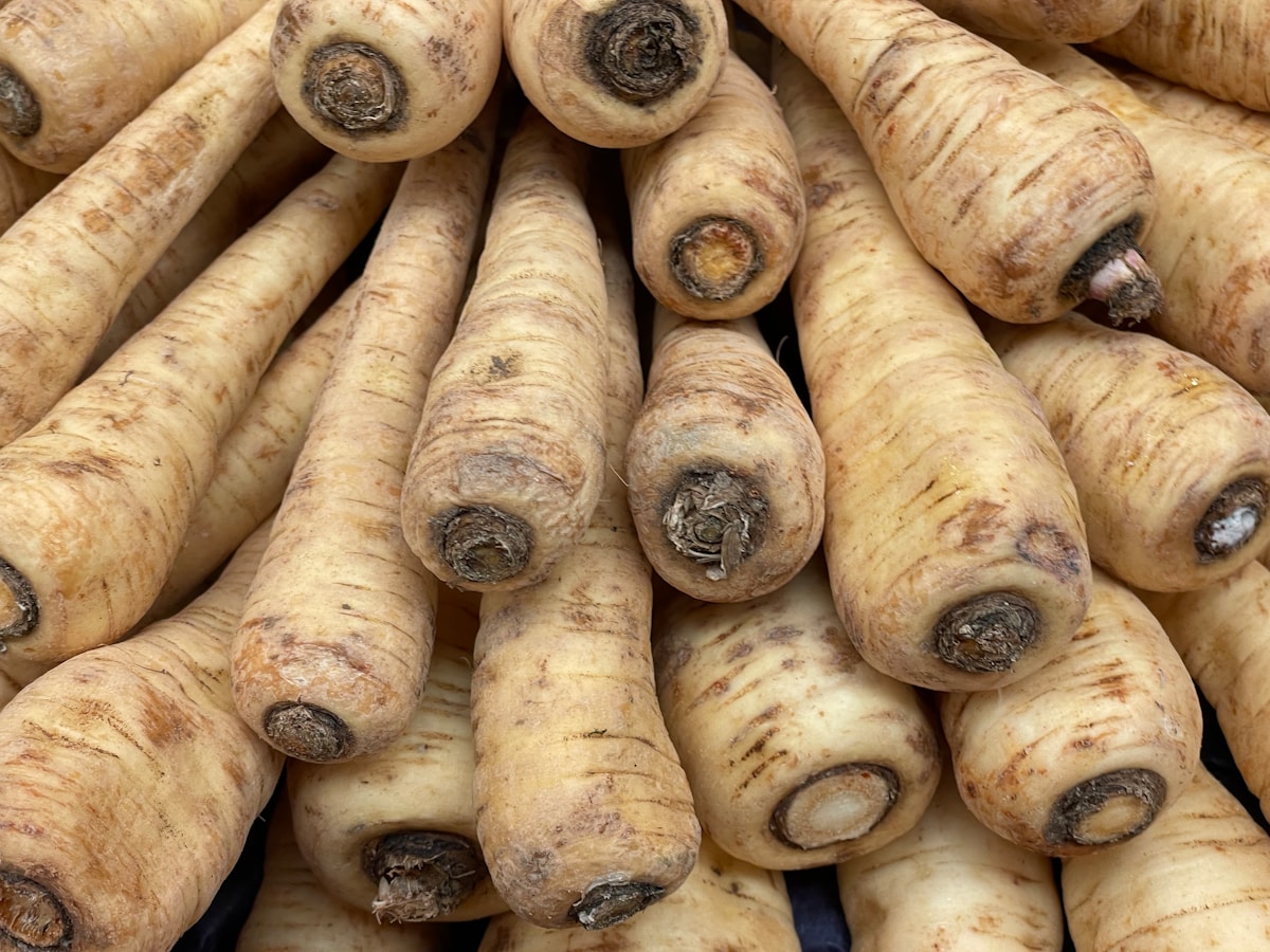 Racines de panais fraîches et rugueuses, prêtes pour la cuisson.