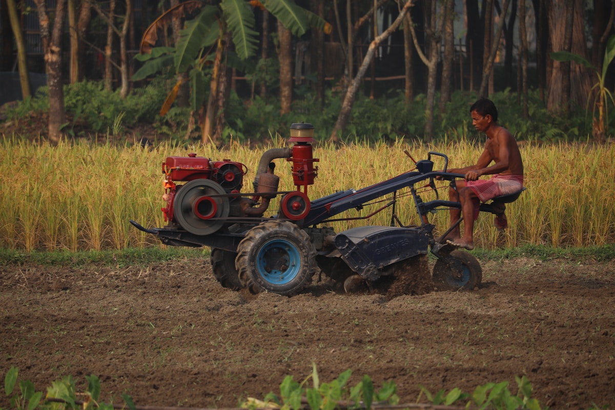 Tracteur agricole rouge dans un champ de riz avec un homme assis.