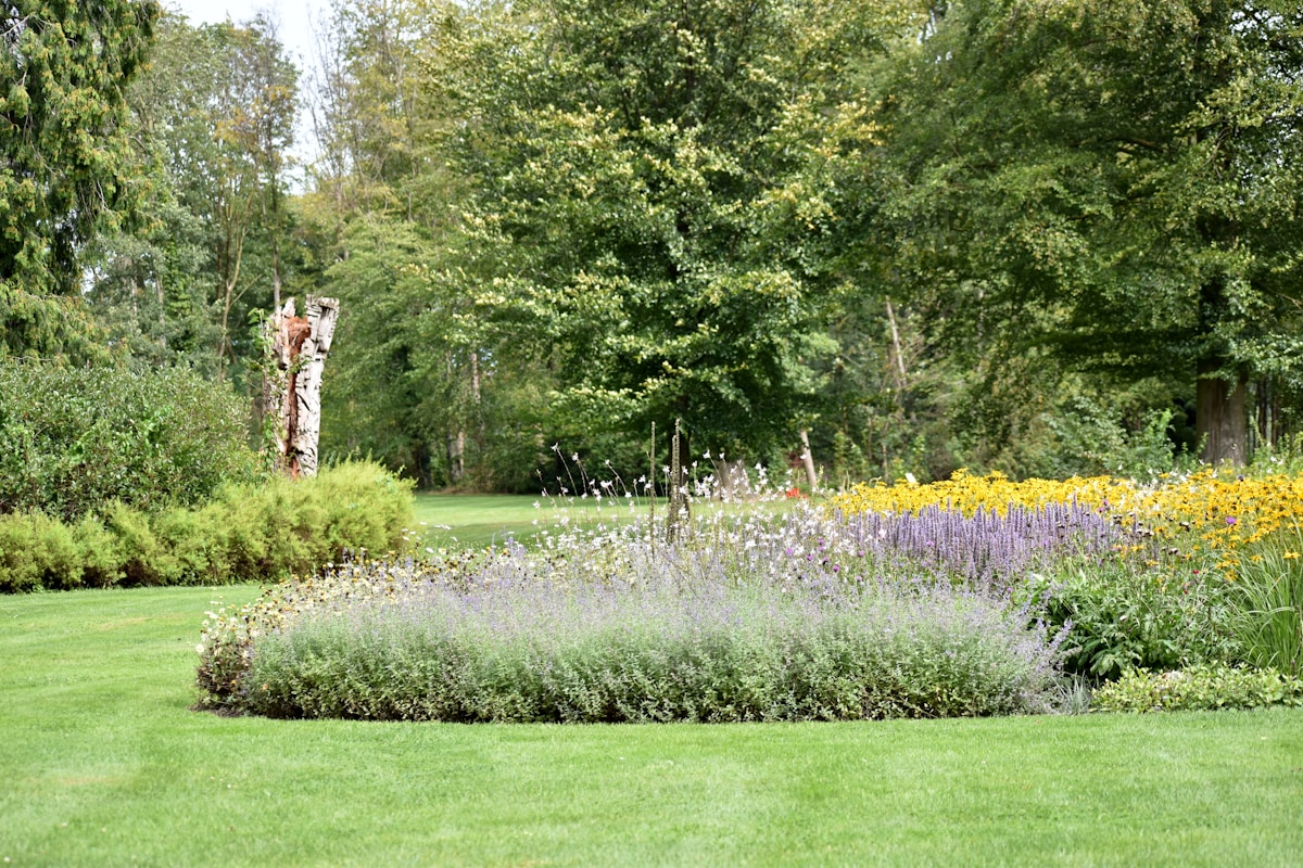 Jardin paysager avec fleurs, arbres et pelouse verdoyante.