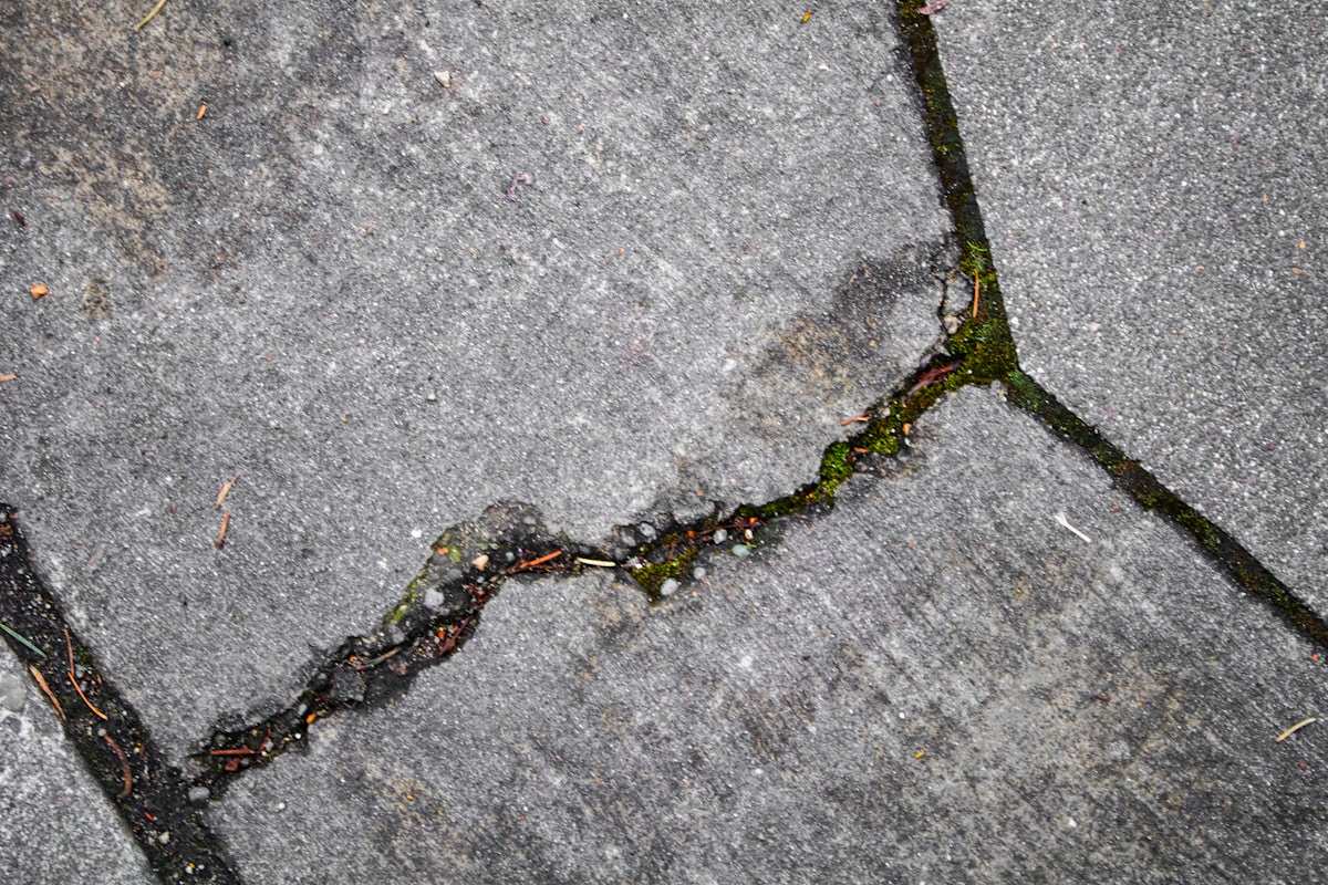 Texture de pierre grise fissurée avec mousse verte.