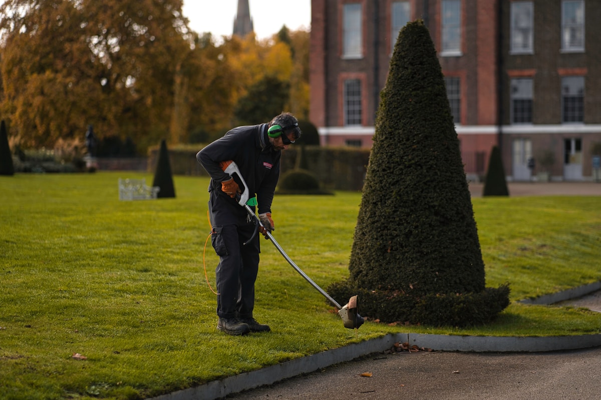 Jardinier taillant un arbuste conique dans un parc automnal.