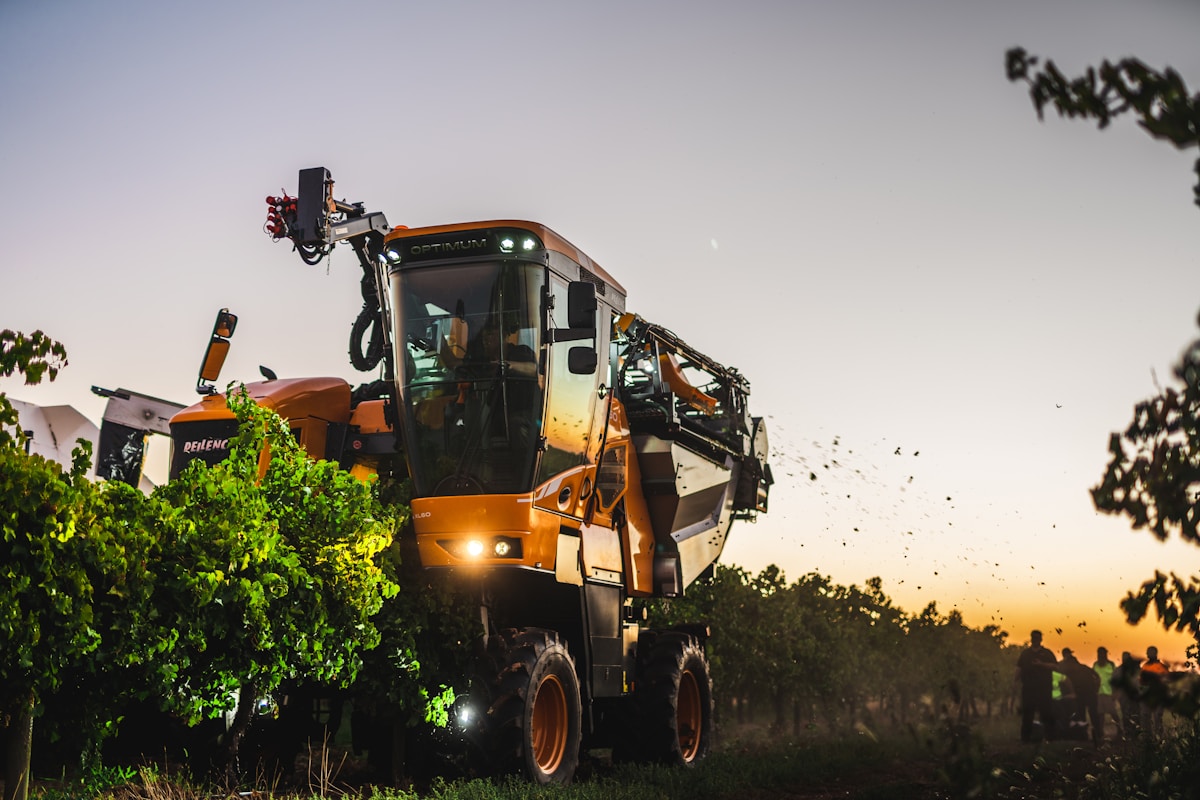 Tracteur agricole orange dans un vignoble au coucher de soleil.