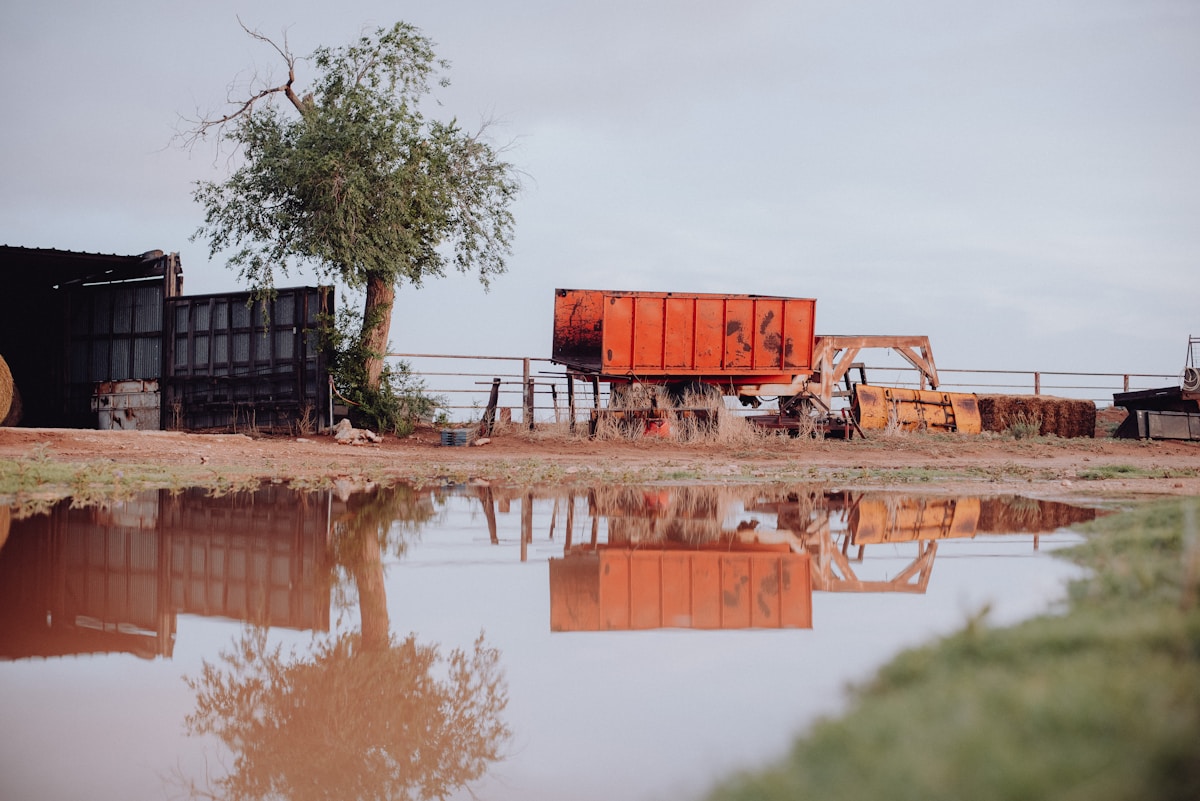 Camions rouges et arbres réfléchis dans une flaque d'eau.