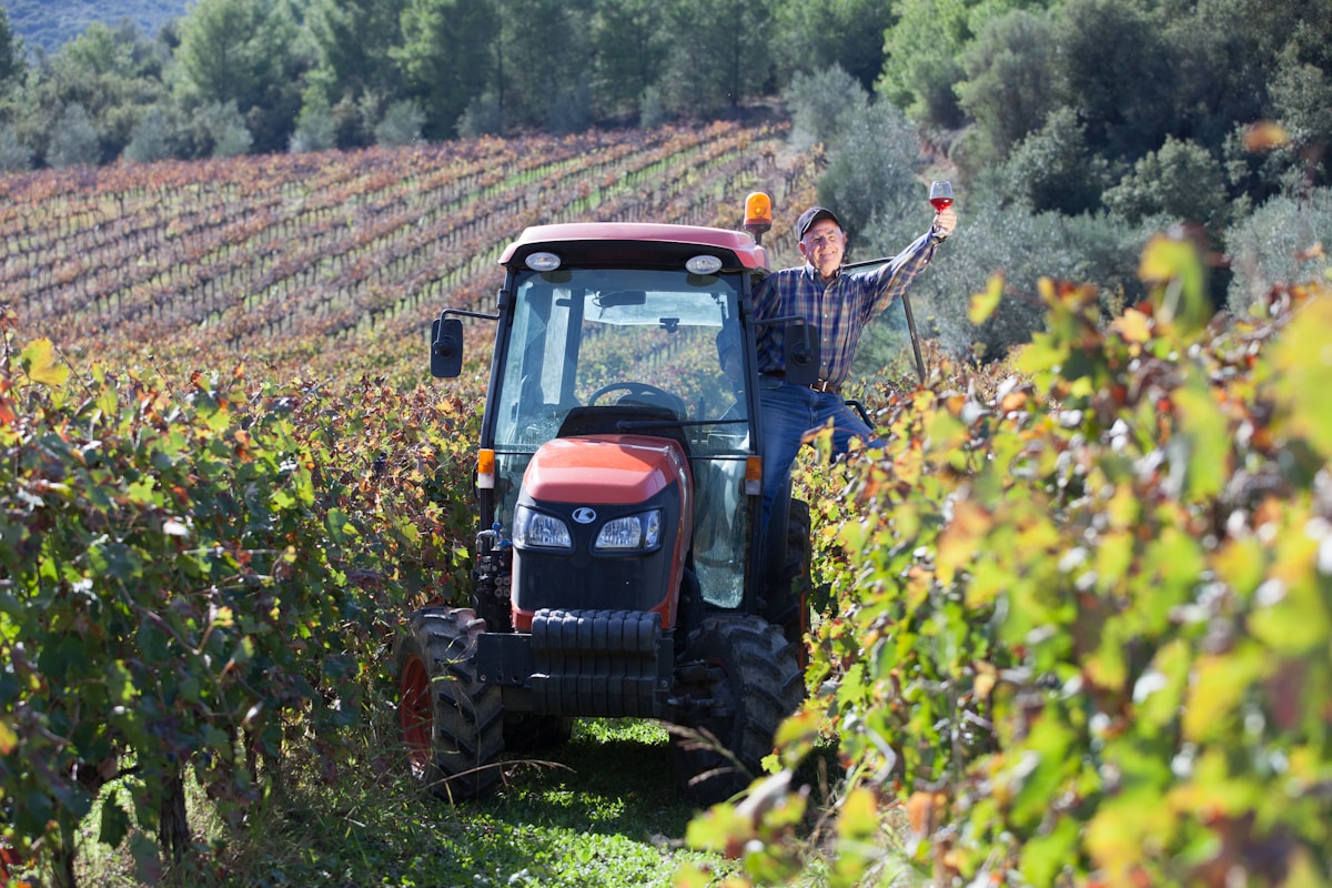 Viticulteur conduisant un tracteur dans un vignoble verdoyant.